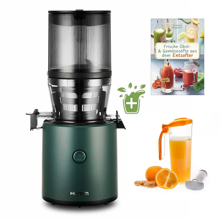 Hurom H320N Slow Juicer