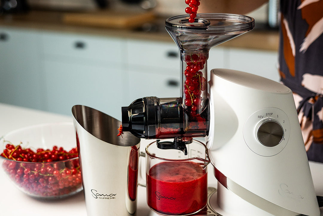 Sana 727 Supreme Saftpresse, die Johannisbeeren presst.